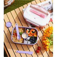 LUNCH BOX 0336 1000ml (yz) 1368-5