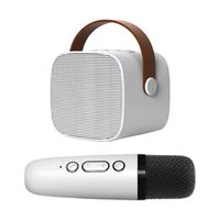 BAVIN WIRELESS KARAOKE SPEAKER BM-15