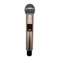 PROFESSIONAL WIRELESS MICROPHONE TTD-M20