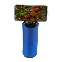 PORTABLE WIRELESS SPEAKER AST-311